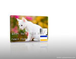 fancyvisacard