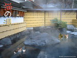 nekoonsen3