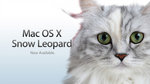snow_leopard-2