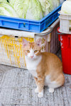 _MG_0146-2