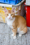 _MG_0156-2