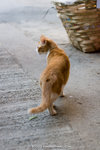 _MG_0907-2