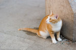 _MG_0915-2