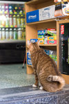 _MG_1571-2