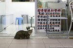 _MG_2063-2