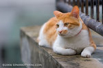 _MG_8622-2