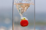 _MG_4522-2