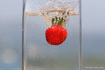 _MG_4525-2