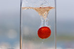 _MG_4536-2