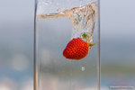 _MG_4547-2