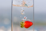 _MG_4556-2