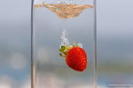 _MG_4562-2