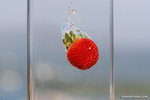 _MG_4597-2