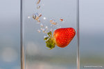 _MG_4607-2