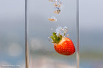 _MG_4610-2