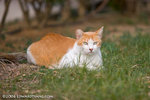 _MG_4317-2