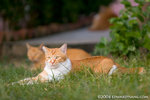 _MG_4325-2