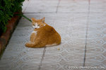 _MG_4329-2