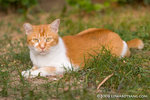 _MG_4332-2