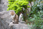 _MG_5062-2