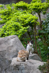 _MG_5066-2