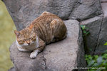 _MG_5067-2