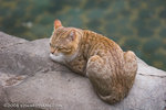 _MG_5068-2