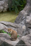_MG_5069-2