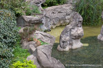 _MG_5072-2