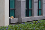 _MG_5073-2