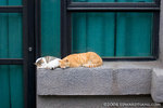 _MG_5075-2