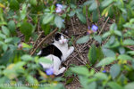 _MG_5077-2