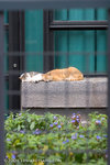 _MG_5082-2