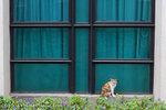 _MG_5086-2