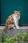_MG_5088-2