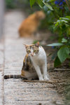 _MG_5093-2