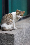 _MG_5094-2
