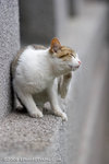 _MG_5098-2