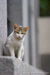 _MG_5102-2