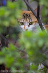 _MG_5150-2