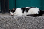 _MG_5156-2