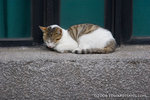 _MG_5157-2