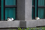 _MG_5159-2