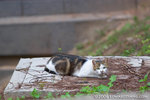 _MG_5160-2