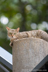 _MG_5163-2