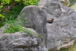 _MG_5168-2