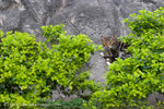 _MG_5170-2