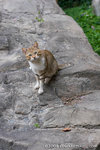 _MG_5171-2