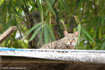 _MG_8447-2
