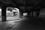 DSC_0234s